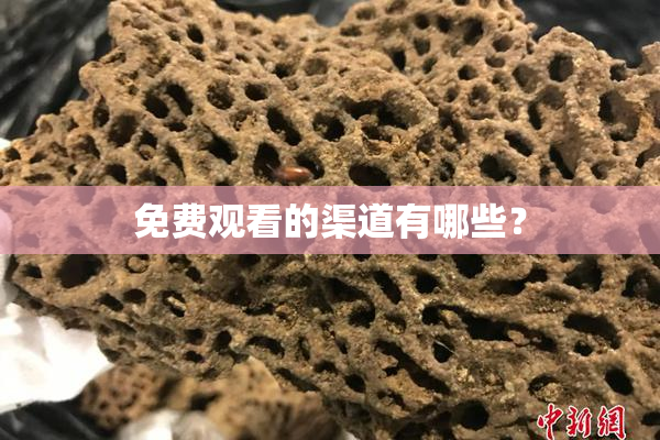 免费观看的渠道有哪些？