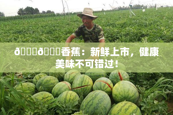 🔞🔞香蕉：新鲜上市，健康美味不可错过！