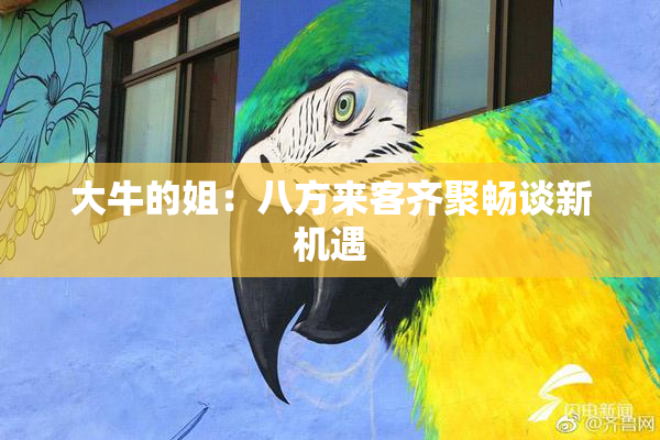 大牛的姐：八方来客齐聚畅谈新机遇