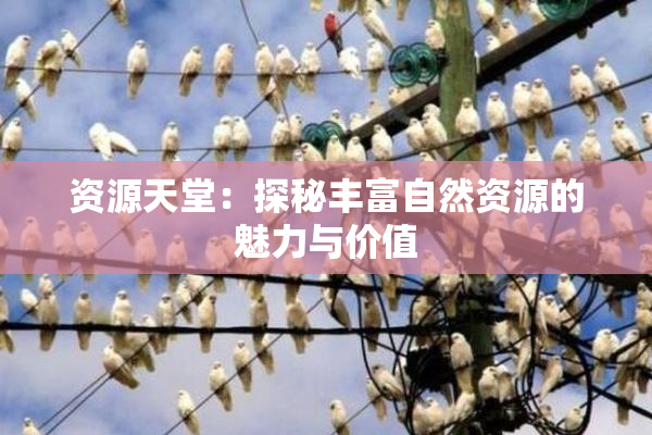 资源天堂：探秘丰富自然资源的魅力与价值