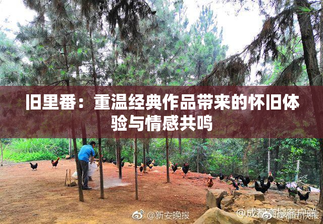 旧里番：重温经典作品带来的怀旧体验与情感共鸣