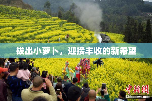 拔出小萝卜，迎接丰收的新希望