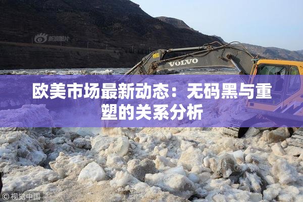 欧美市场最新动态：无码黑与重塑的关系分析