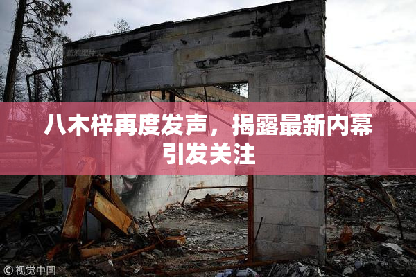 八木梓再度发声，揭露最新内幕引发关注
