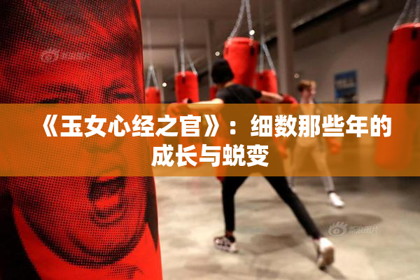 《玉女心经之官》：细数那些年的成长与蜕变