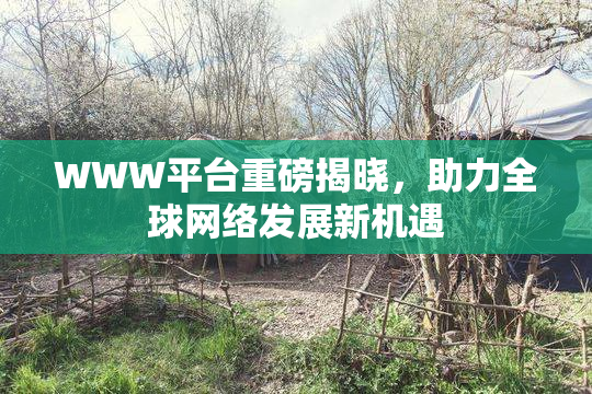 WWW平台重磅揭晓，助力全球网络发展新机遇