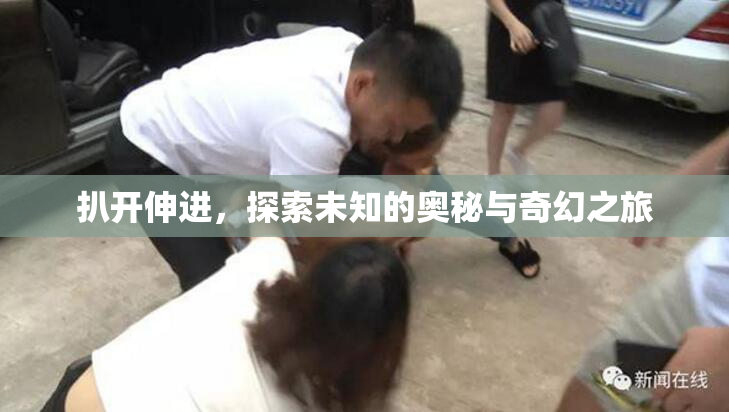 扒开伸进，探索未知的奥秘与奇幻之旅