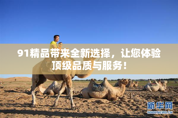 91精品带来全新选择，让您体验顶级品质与服务！