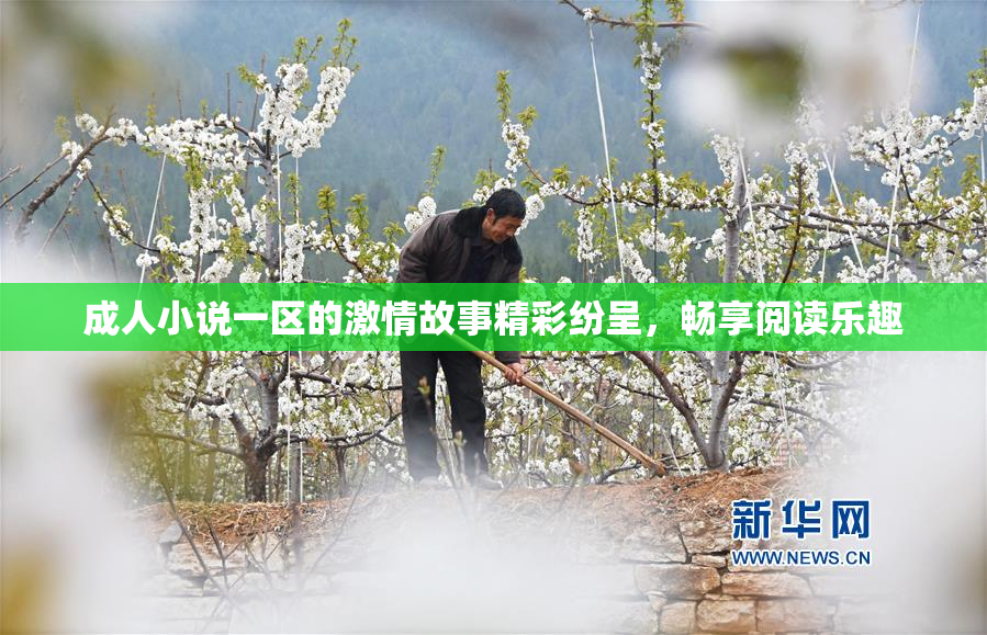 成人小说一区的激情故事精彩纷呈，畅享阅读乐趣