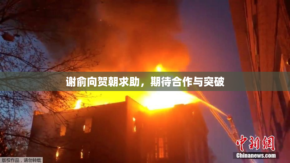 谢俞向贺朝求助，期待合作与突破