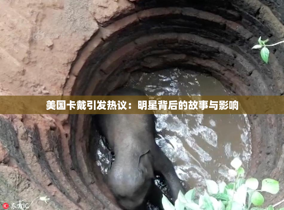 美国卡戴引发热议：明星背后的故事与影响
