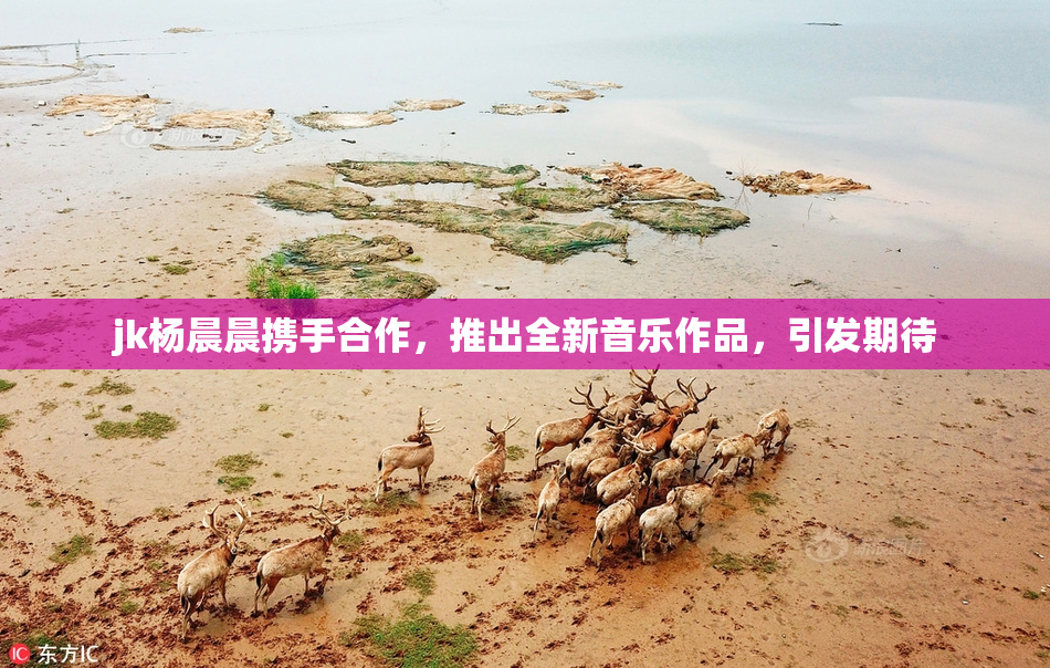 jk杨晨晨携手合作，推出全新音乐作品，引发期待