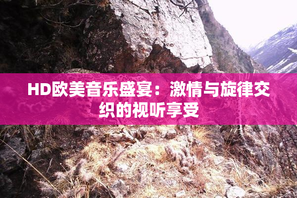 HD欧美音乐盛宴：激情与旋律交织的视听享受