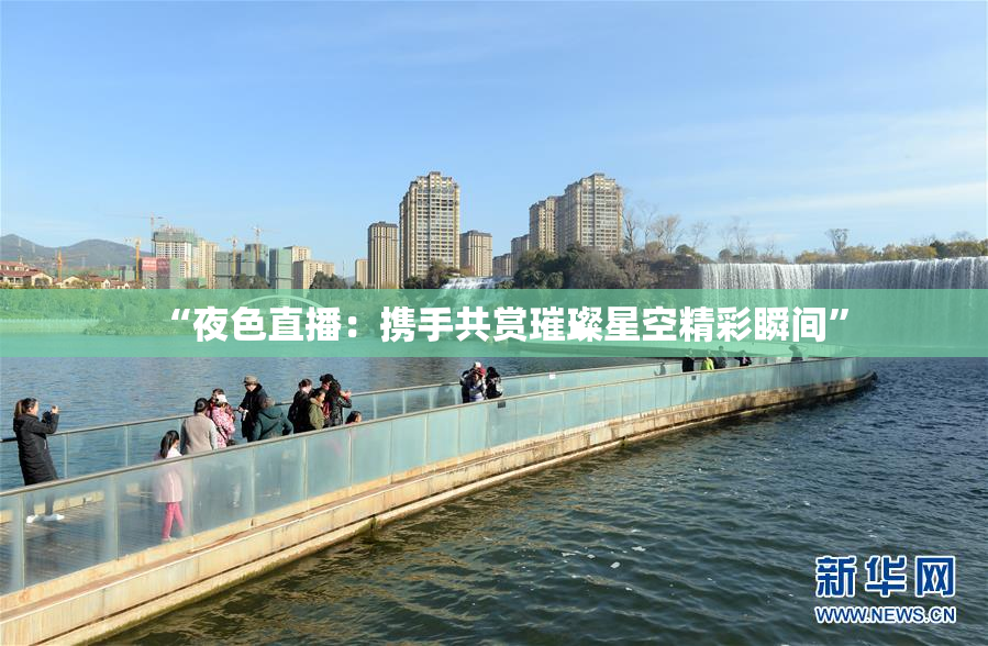 “夜色直播：携手共赏璀璨星空精彩瞬间”