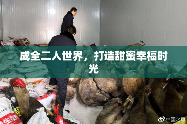 成全二人世界，打造甜蜜幸福时光