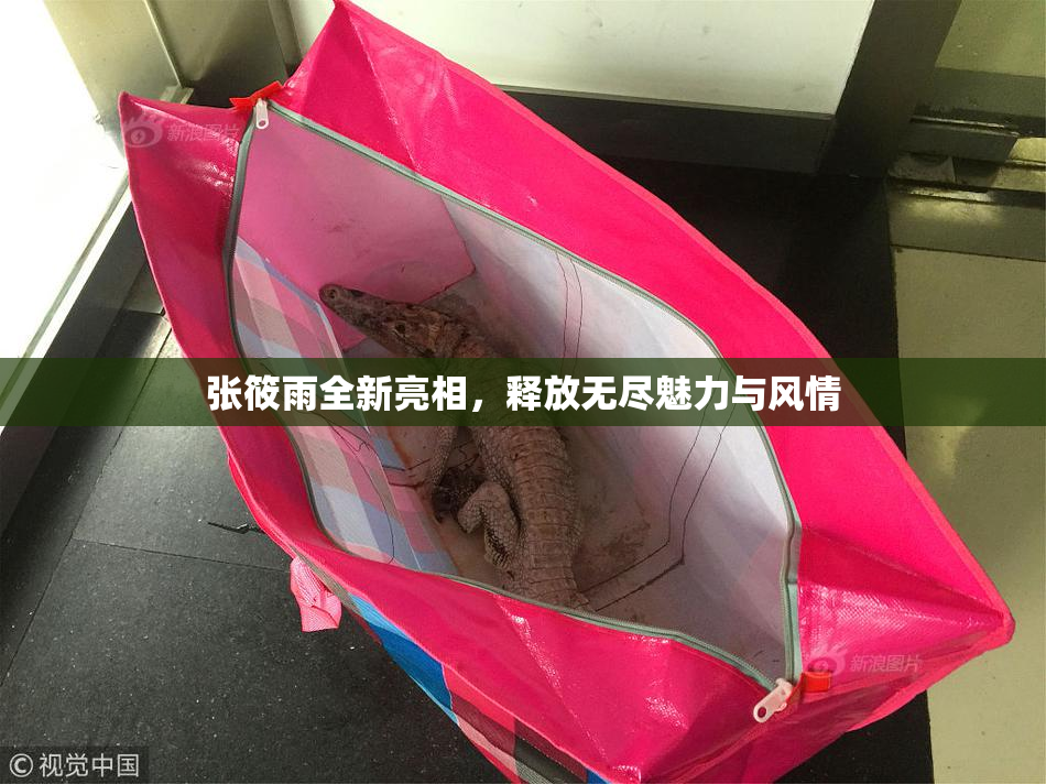 张筱雨全新亮相，释放无尽魅力与风情