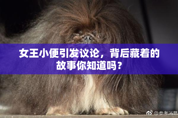 女王小便引发议论，背后藏着的故事你知道吗？