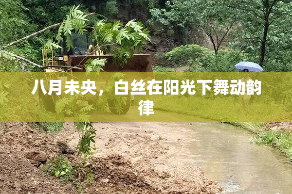 八月未央，白丝在阳光下舞动韵律