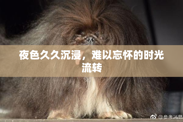 夜色久久沉浸，难以忘怀的时光流转