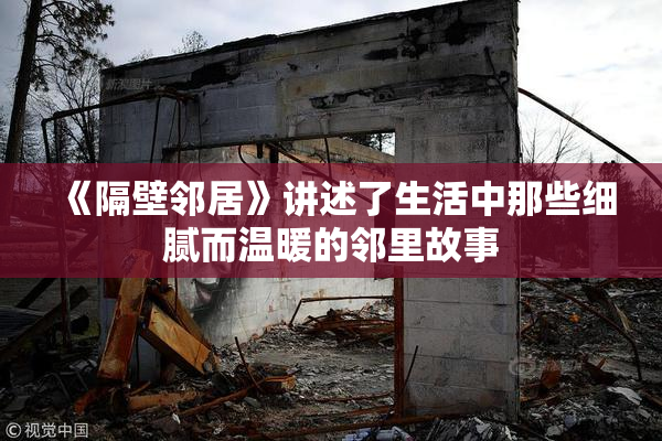 《隔壁邻居》讲述了生活中那些细腻而温暖的邻里故事