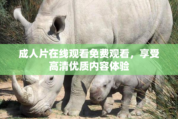 成人片在线观看免费观看，享受高清优质内容体验