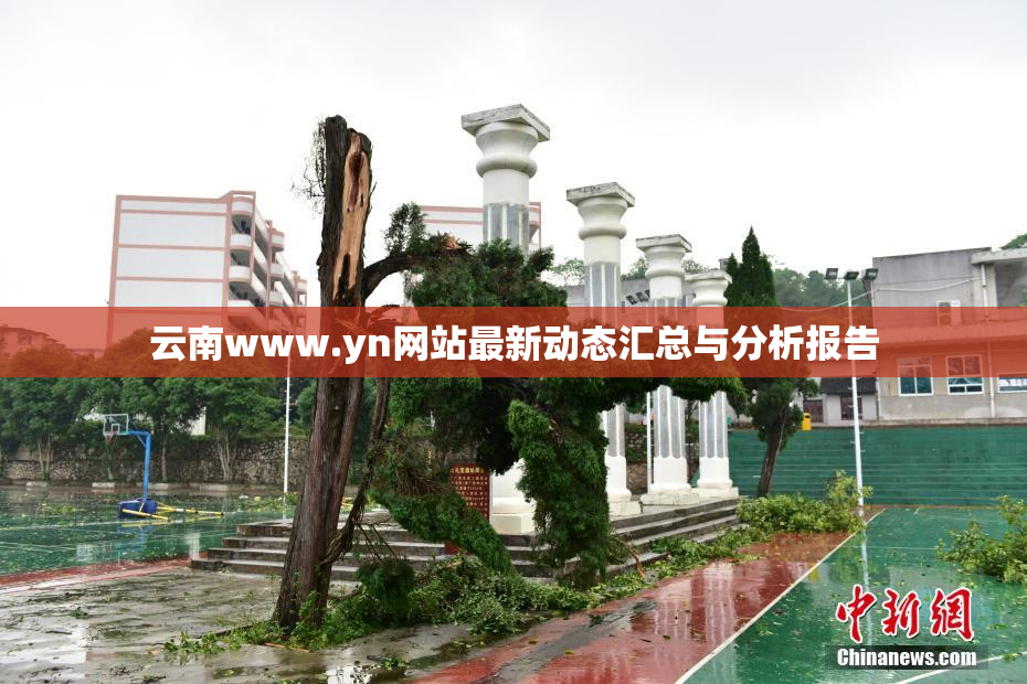 云南www.yn网站最新动态汇总与分析报告