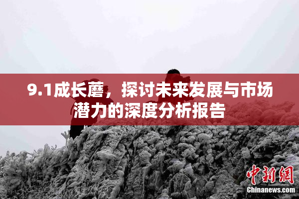 9.1成长蘑，探讨未来发展与市场潜力的深度分析报告