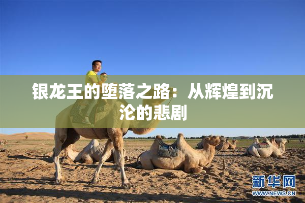银龙王的堕落之路：从辉煌到沉沦的悲剧
