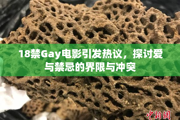 18禁Gay电影引发热议，探讨爱与禁忌的界限与冲突