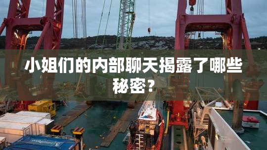 小姐们的内部聊天揭露了哪些秘密？