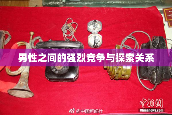 男性之间的强烈竞争与探索关系