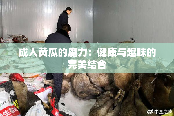 成人黄瓜的魔力：健康与趣味的完美结合
