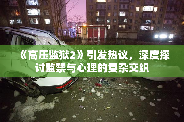 《高压监狱2》引发热议，深度探讨监禁与心理的复杂交织