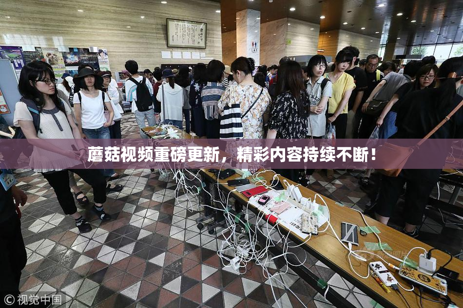 蘑菇视频重磅更新，精彩内容持续不断！