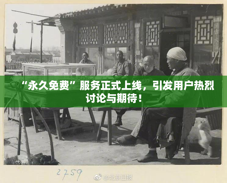 “永久免费”服务正式上线，引发用户热烈讨论与期待！