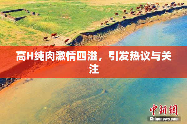 高H纯肉激情四溢，引发热议与关注