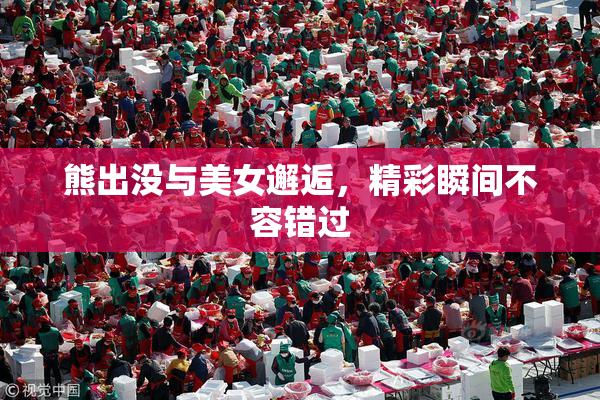 熊出没与美女邂逅，精彩瞬间不容错过