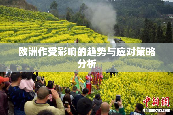 欧洲作受影响的趋势与应对策略分析