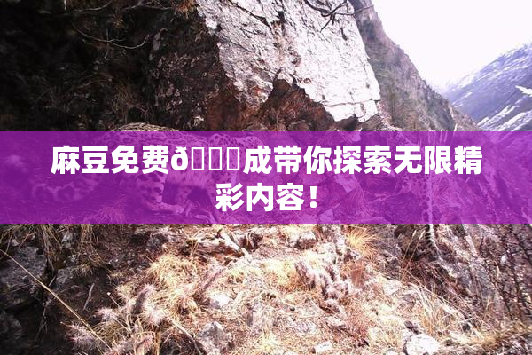 麻豆免费🔞成带你探索无限精彩内容！