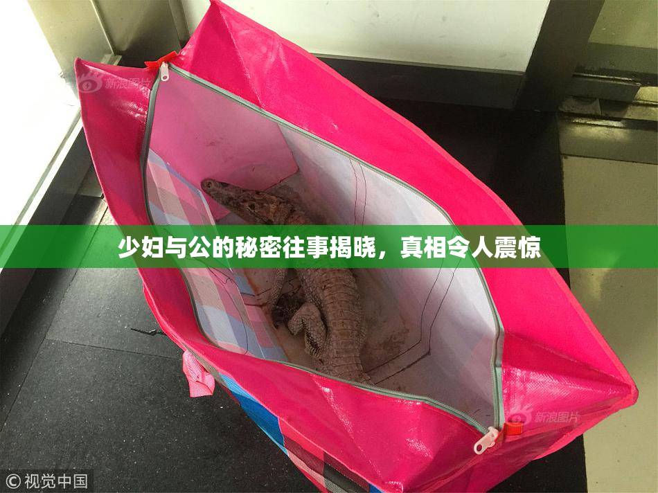 少妇与公的秘密往事揭晓，真相令人震惊
