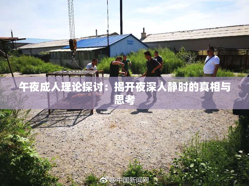 午夜成人理论探讨：揭开夜深人静时的真相与思考