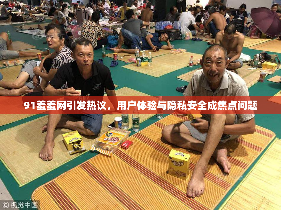 91羞羞网引发热议，用户体验与隐私安全成焦点问题