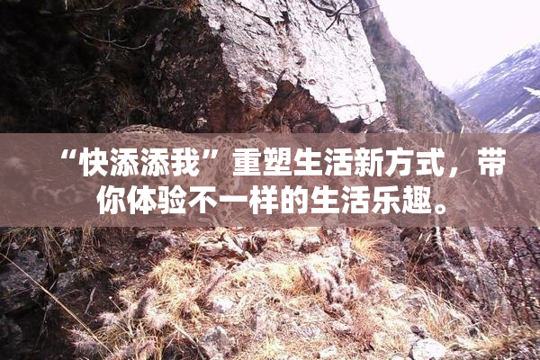 “快添添我”重塑生活新方式，带你体验不一样的生活乐趣。