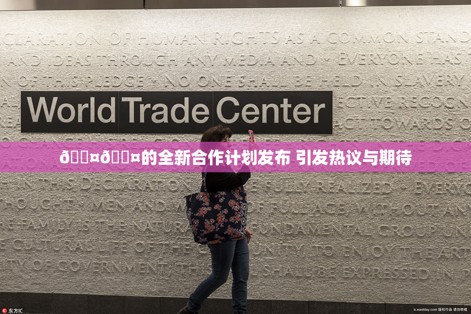 🐤🐤的全新合作计划发布 引发热议与期待