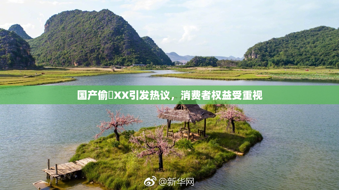 国产偷抇XX引发热议，消费者权益受重视