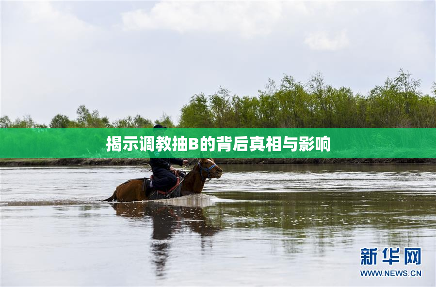 揭示调教抽B的背后真相与影响