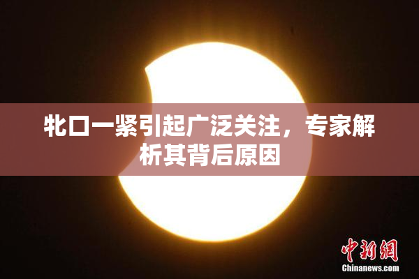 牝口一紧引起广泛关注，专家解析其背后原因