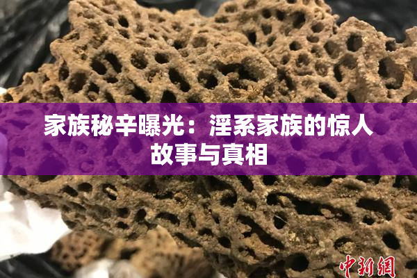 家族秘辛曝光：淫系家族的惊人故事与真相