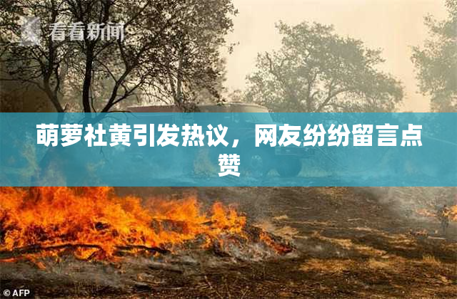 萌萝社黄引发热议，网友纷纷留言点赞