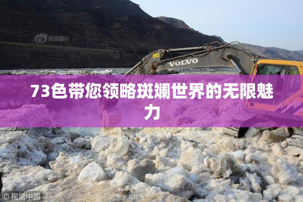 73色带您领略斑斓世界的无限魅力